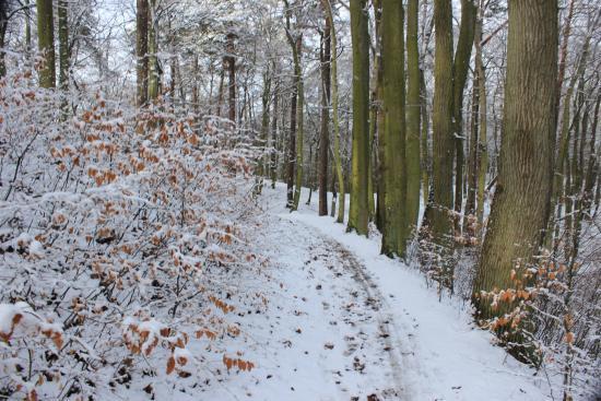 Wycieczki rowerowe po Trójmiejskim Parku Krajobrazowym